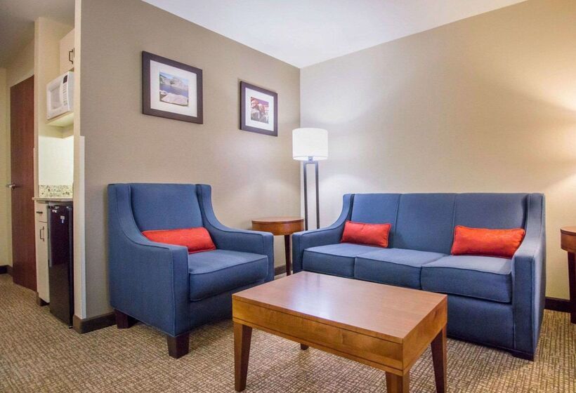 هتل Comfort Inn & Suites Deadwood