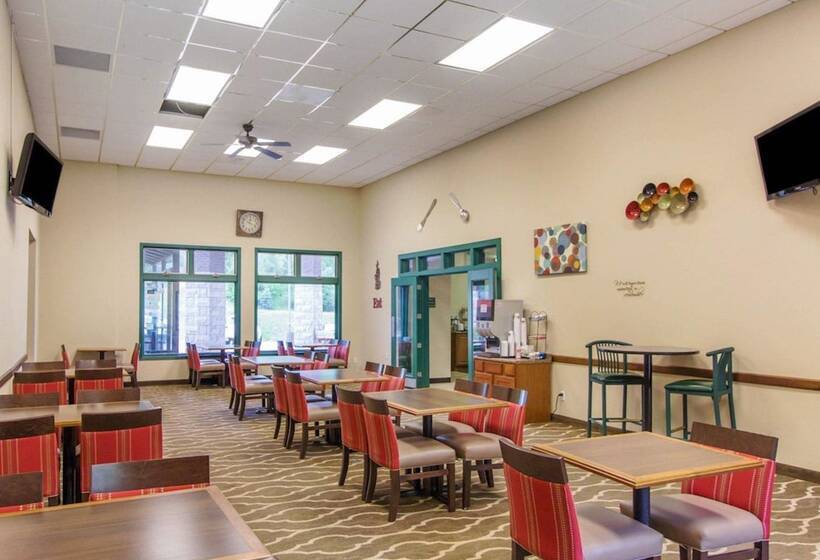 هتل Comfort Inn & Suites Deadwood
