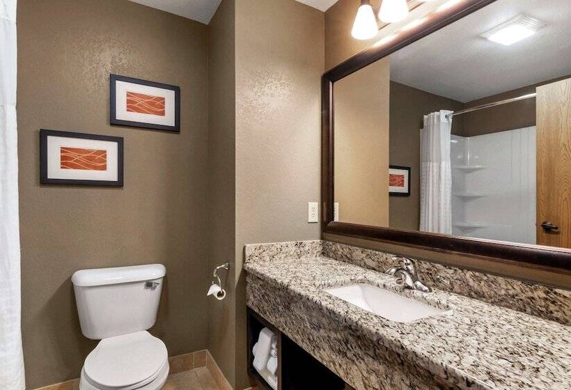 酒店 Comfort Inn & Suites Macon