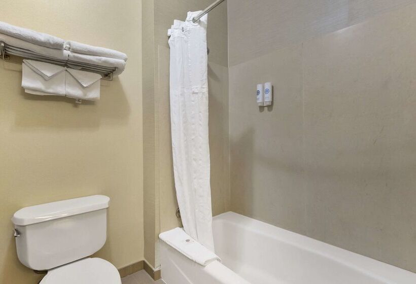 هتل Comfort Inn & Suites