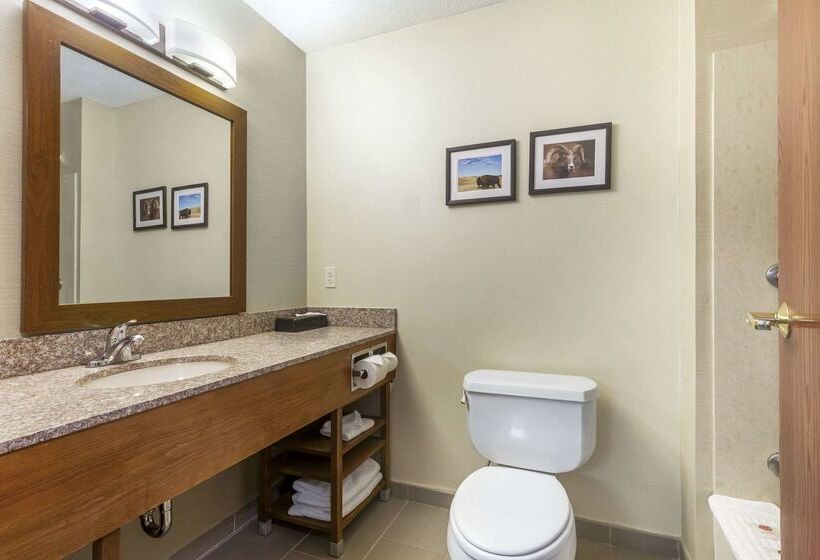 هتل Comfort Inn & Suites