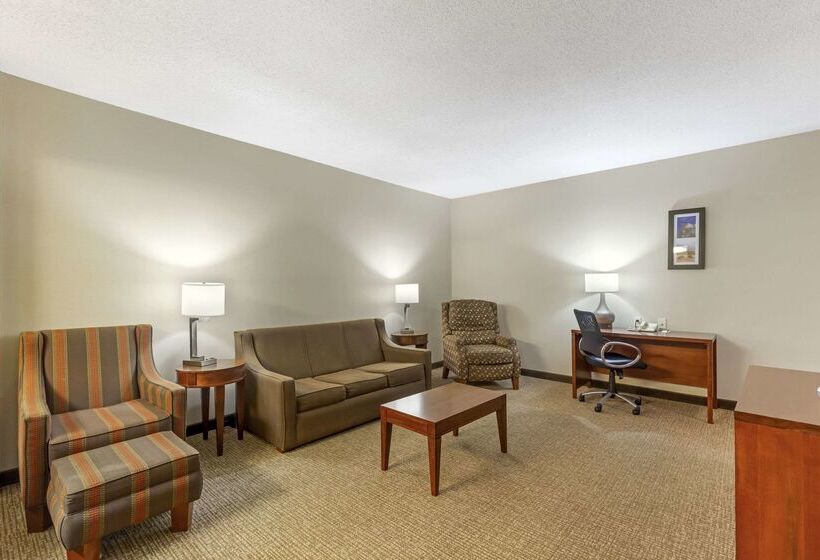هتل Comfort Inn & Suites
