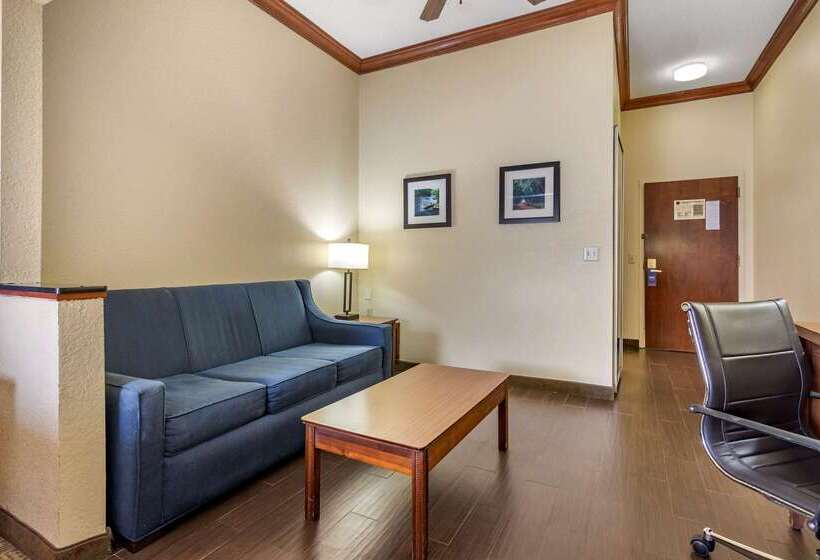 酒店 Comfort Inn & Suites Statesboro  University Area