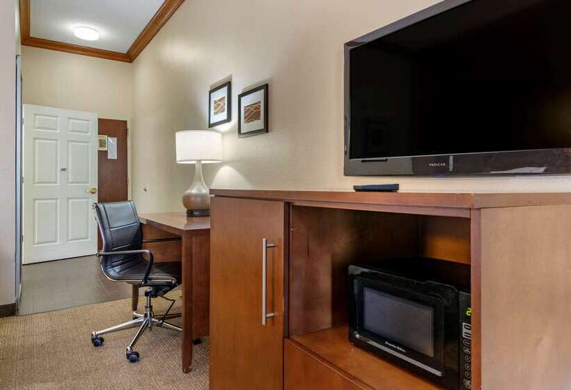 酒店 Comfort Inn & Suites Statesboro  University Area
