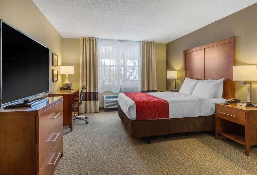 בית מלון כפרי Comfort Inn & Suites North Conway