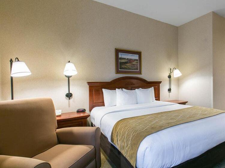 酒店 Comfort Inn Warrensburg Station
