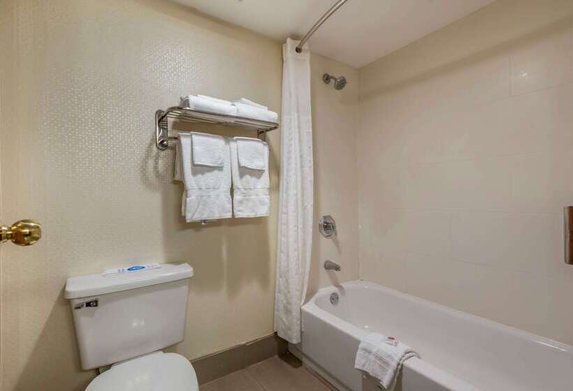 Отель Comfort Inn
