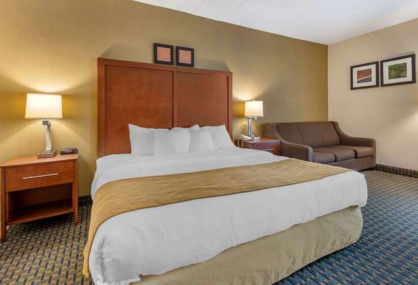 Отель Comfort Inn