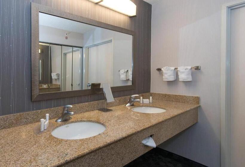 فندق Courtyard Bymarriott Albany