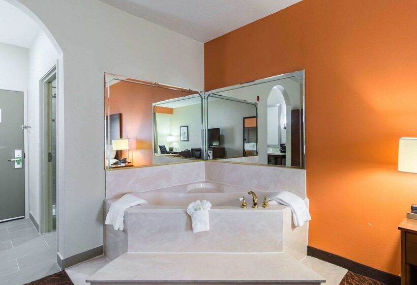 هتل Econo Lodge Inn & Suites East Houston I10