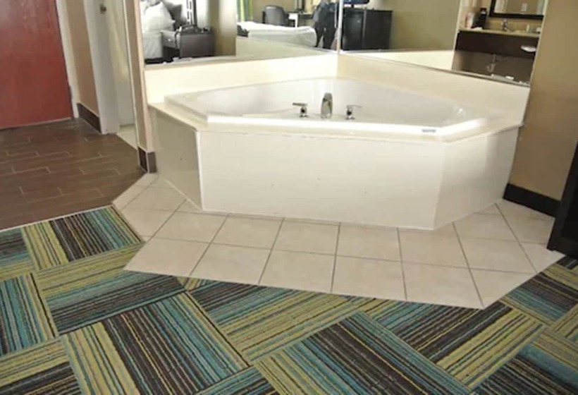 בית מלון כפרי Quality Inn & Suites Arnold   St Louis