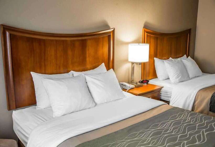 فندق Quality Inn & Suites