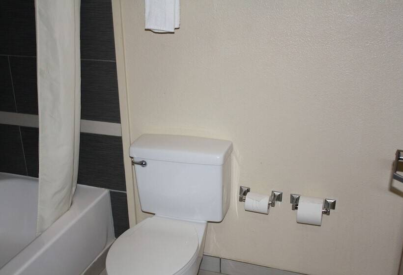 Hotel Quality Inn & Suites Wichita Falls I 44