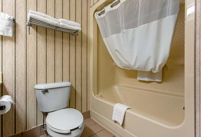 Отель Quality Inn Surfside Myrtle Beach