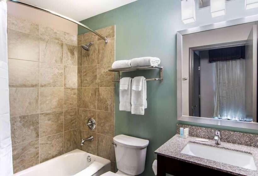هتل Clarion Inn & Suites Atlanta Downtown