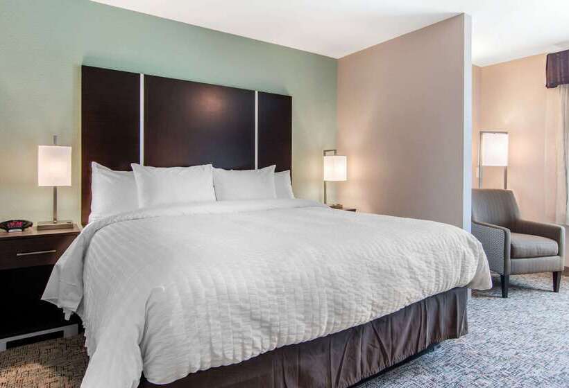 هتل Clarion Inn & Suites Atlanta Downtown
