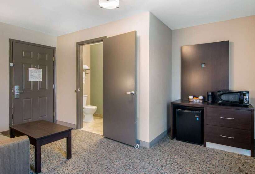 هتل Clarion Inn & Suites Atlanta Downtown