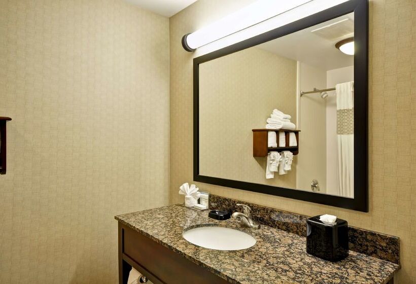 בית מלון כפרי Hampton Inn Boca Raton Deerfield Beach