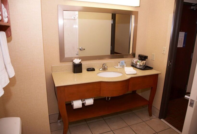 فندق Hampton Inn And Suites Hobbs