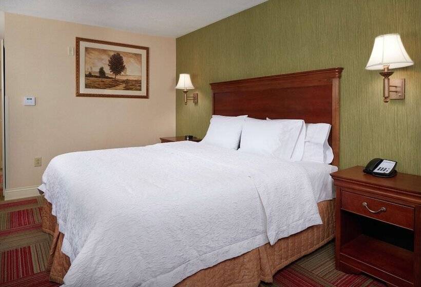 ホテル Hampton Inn & Suites Roswell