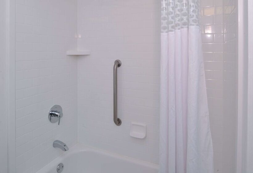 בית מלון כפרי Hampton Inn Carbondale