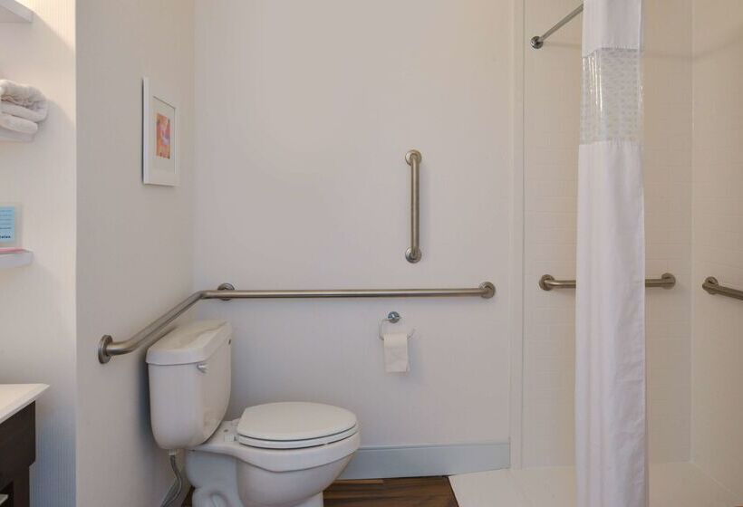 בית מלון כפרי Hampton Inn Carbondale