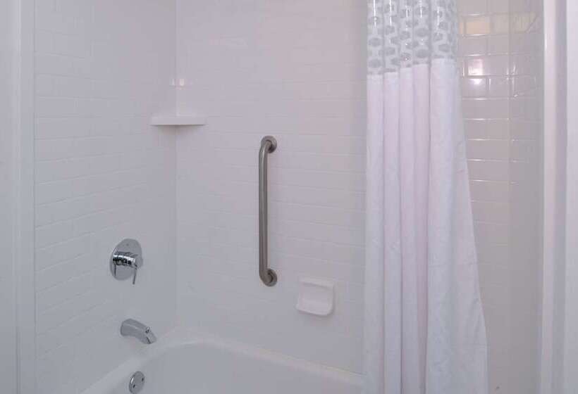 בית מלון כפרי Hampton Inn Carbondale