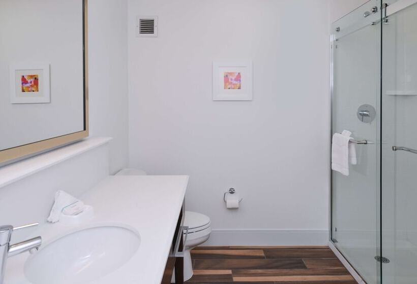 בית מלון כפרי Hampton Inn Carbondale