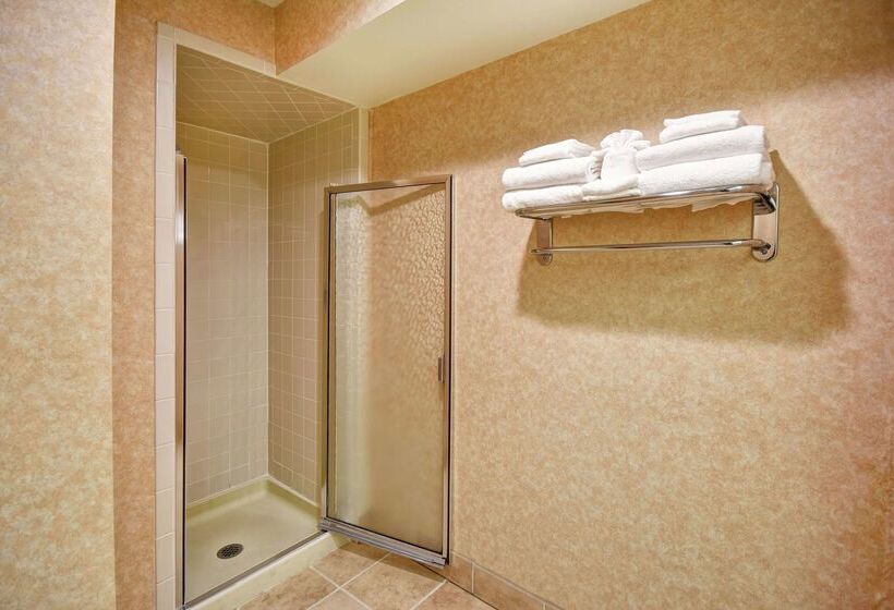 هتل Hampton Inn Chicopee/springfield