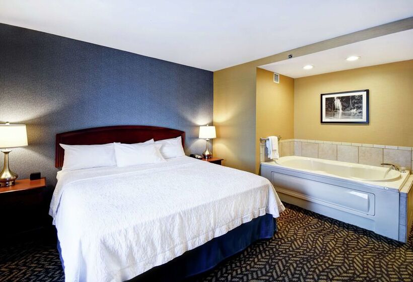 هتل Hampton Inn Chicopee/springfield