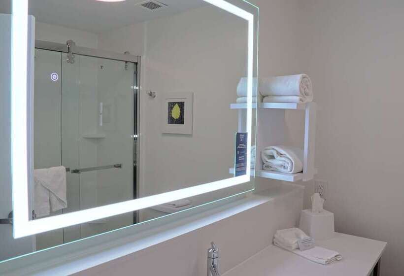 בית מלון כפרי Hampton Inn Danville