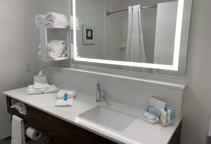 בית מלון כפרי Hampton Inn Danville