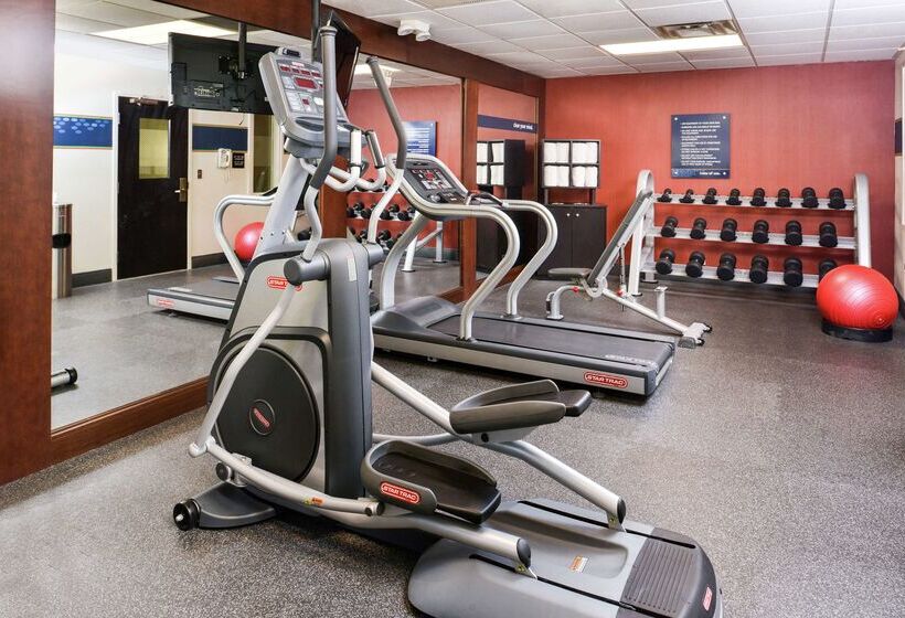 בית מלון כפרי Hampton Inn Daytona/ormond Beach