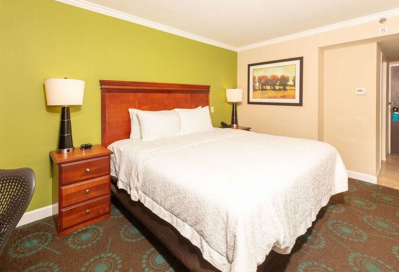 בית מלון כפרי Hampton Inn Daytona Speedway