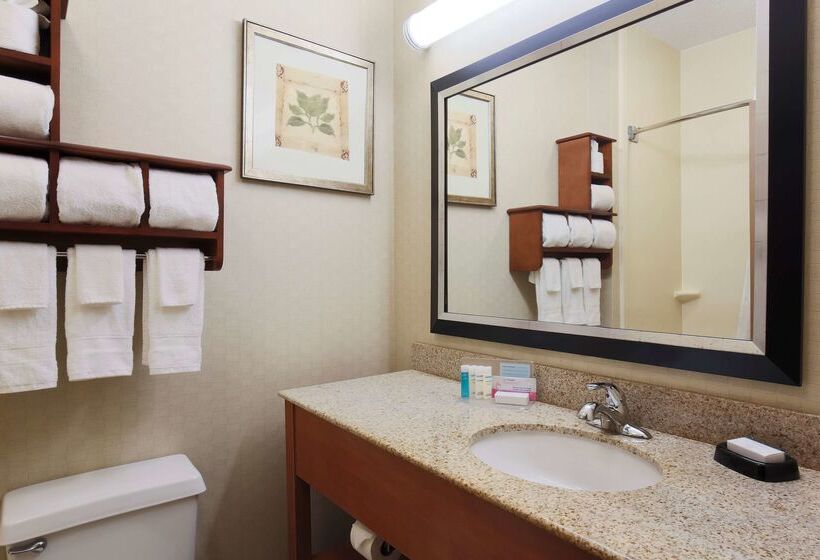 酒店 Surestay By Best Western Forsyth Decatur