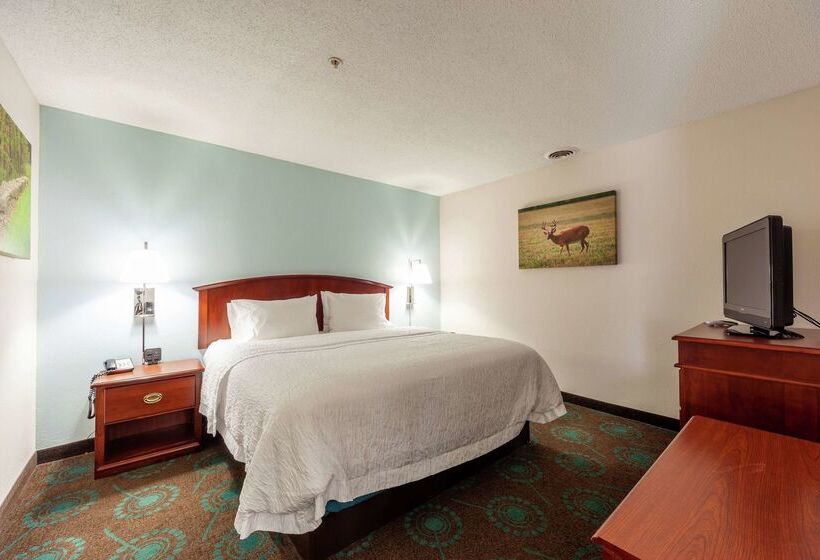 בית מלון כפרי Hampton Inn Front Royal