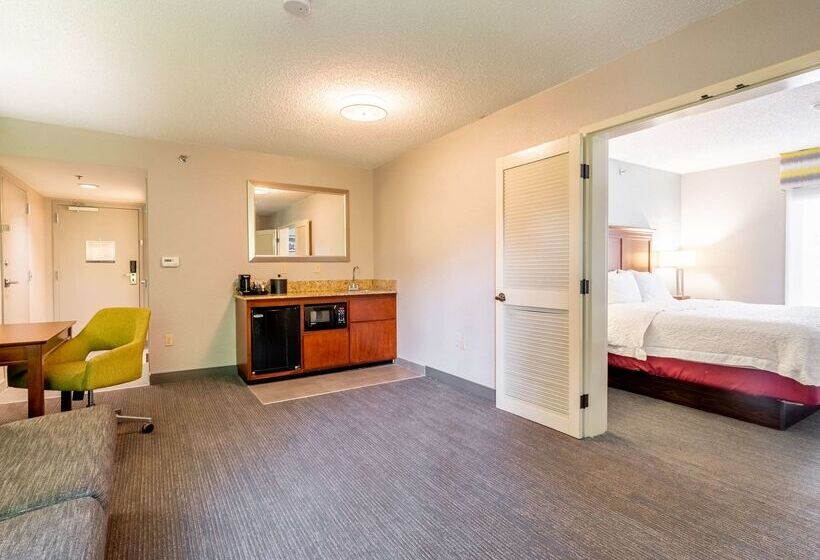 בית מלון כפרי Hampton Inn Gainesville