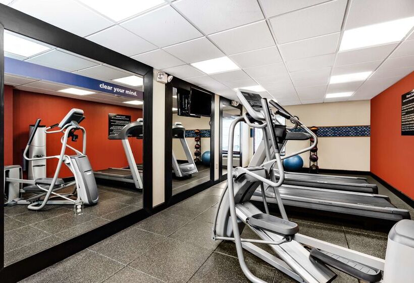 בית מלון כפרי Hampton Inn Gainesville