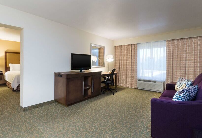 هتل Hampton Inn By Hilton Odessa