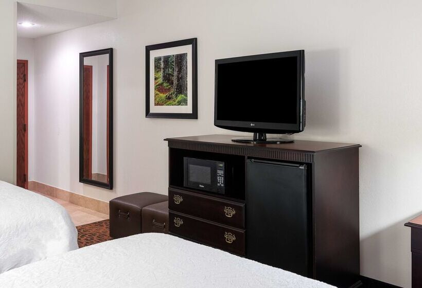 ホテル Hampton Inn Parkersburgmineral Wells