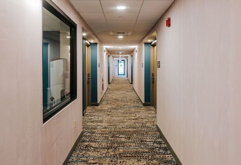 فندق Hampton Inn Rehoboth Beach