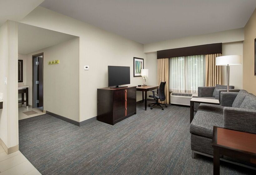فندق Hampton Inn & Suites Alpharetta