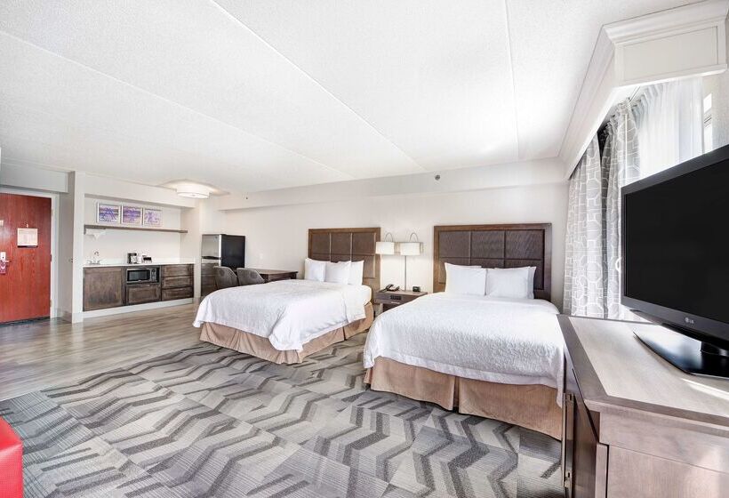 هتل Hampton Inn & Suites Atlantagalleria