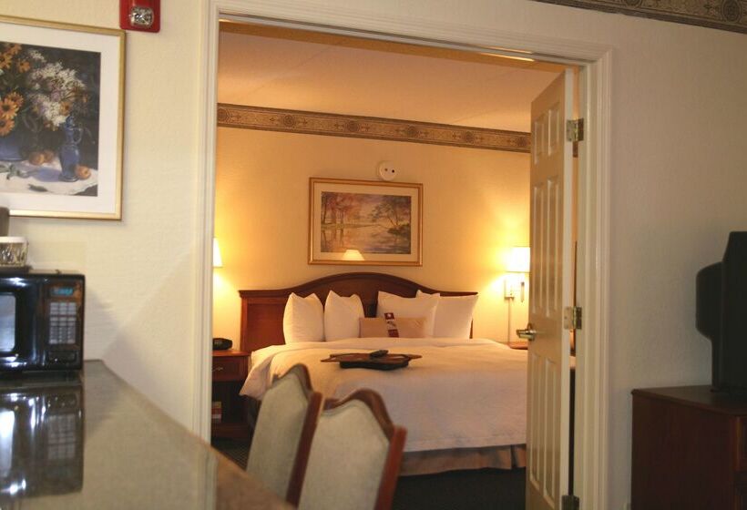 هتل Hampton Inn & Suites Atlantagalleria