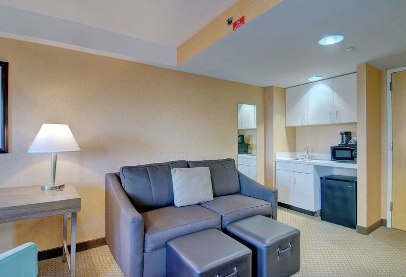 هتل Hampton Inn & Suites Boston Crosstown Center