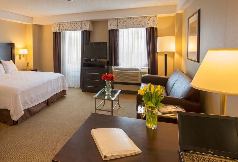 هتل Hampton Inn & Suites Boston Crosstown Center