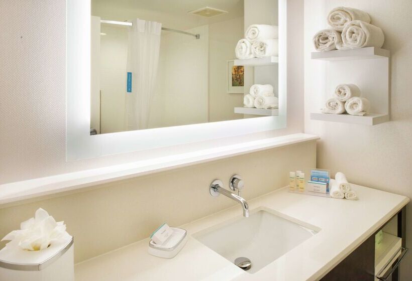 בית מלון כפרי Hampton Inn & Suites Legacy Parkfrisco