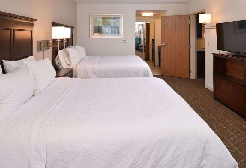 هتل Hampton Inn & Suites Pueblo  Southgate