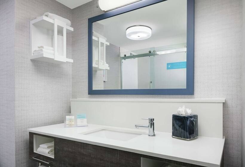 בית מלון כפרי Hampton Inn & Suites Tampa/ybor City/downtown
