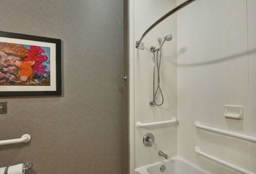 בית מלון כפרי Hampton Inn West Palm Beach Florida Turnpike